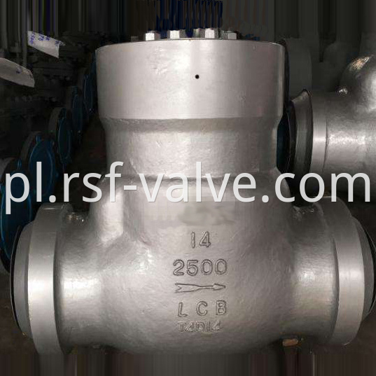 Psb Swing Check Valve